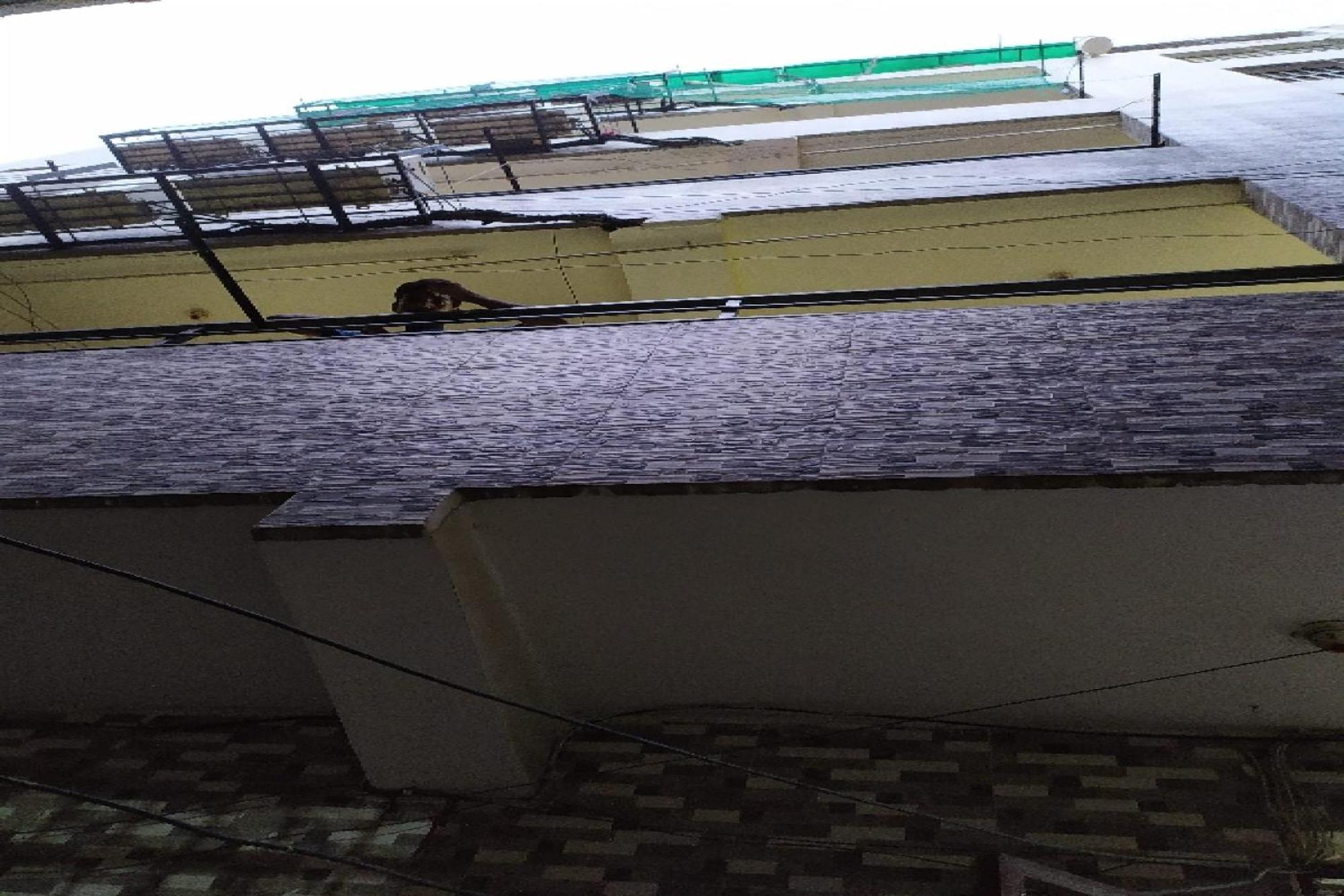Hotel Hotel O The Star View 3*